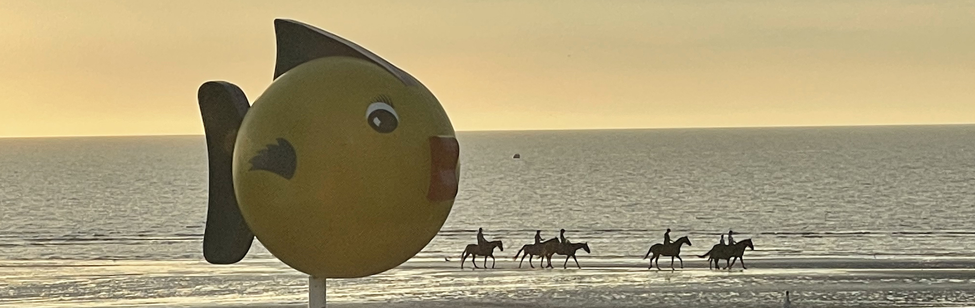 Deauville immobilier